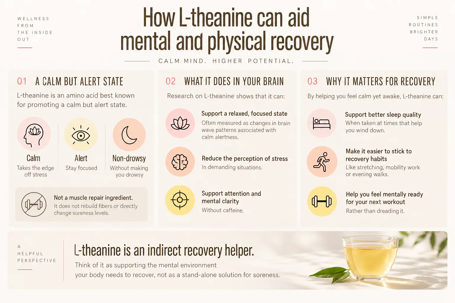 Infographic explaining how L-theanine may support calm alertness, brain function, and recovery habits